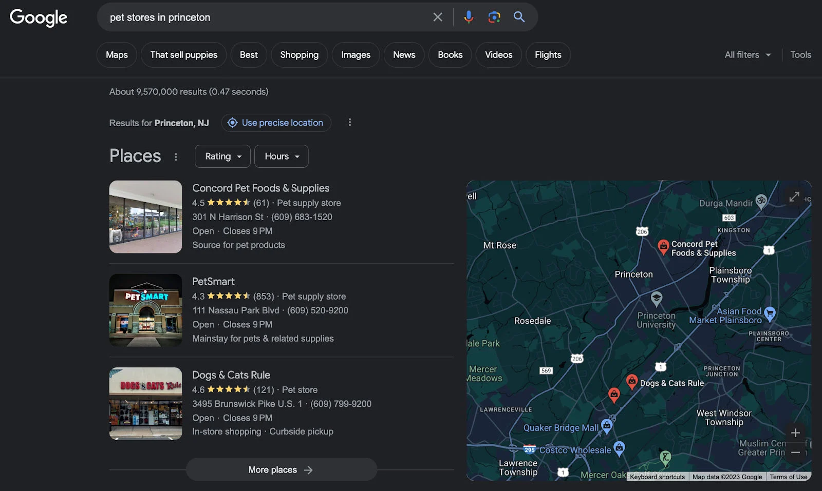 Google search for "pet stores in princeton" showing a few local businesses and a map.