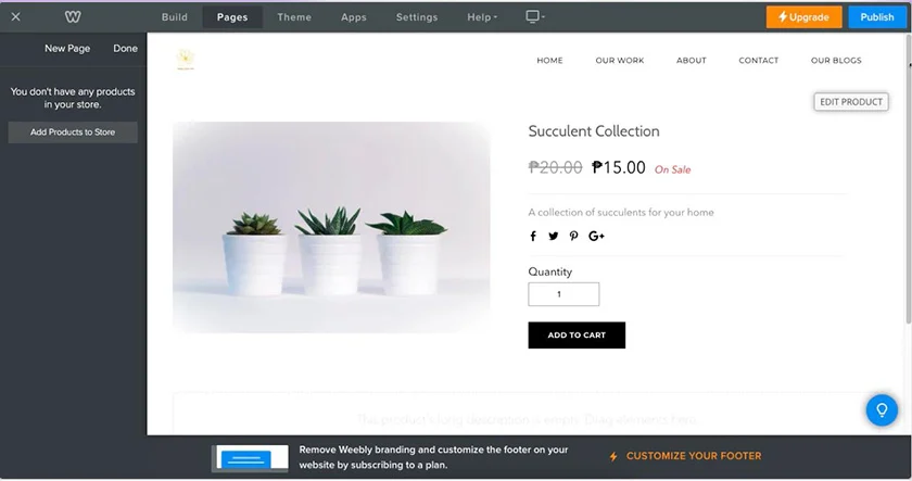 A sample product page on a website.