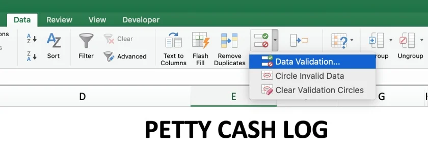Petty Cash Log data validation.