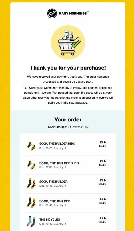 A thank-you email from retail brand Many Mornings with a list of the recipient's order.