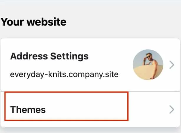 Choosing themes from a variety Ecwid offers.