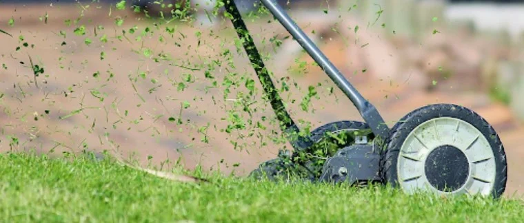 Push mower cutting grass