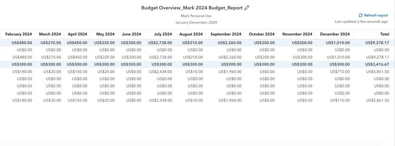 Sample Budget Overview report showing the estimated amounts entered for each month.