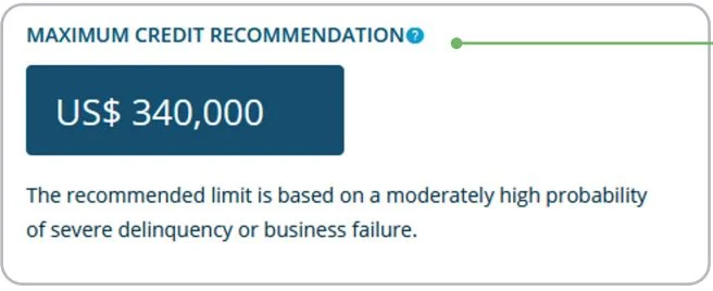 An example of a maximum credit recommendation included in the risk assessment section.