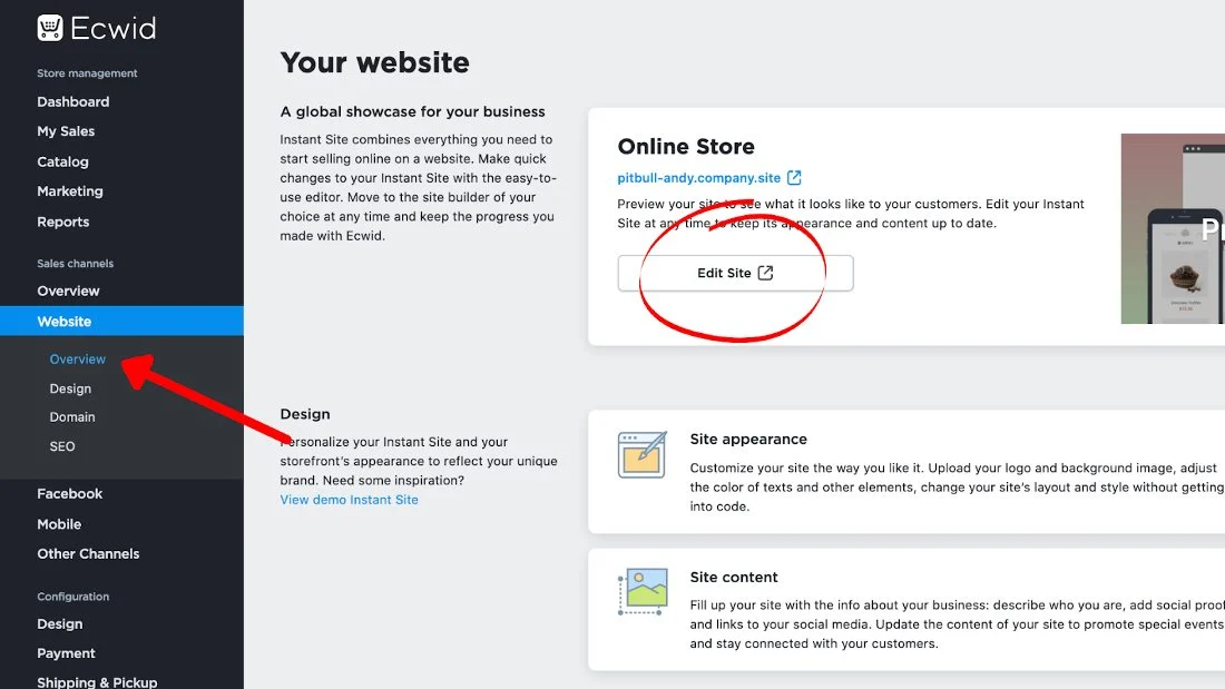 Using Ecwid instant site.