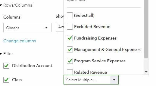 Image showing the checkboxes when selecting specific classes during report customization.