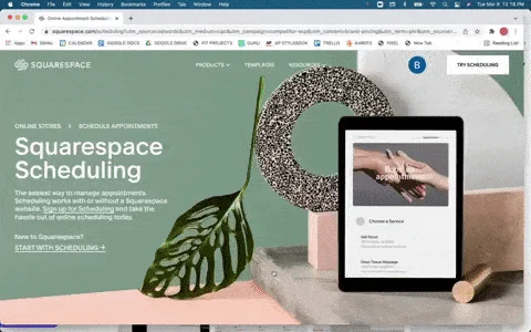 Signing up for Squarespace scheduling.