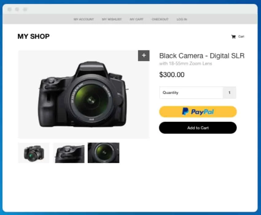PayPal Payments Pro Check Out.